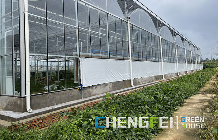 Round-arch-glass-greenhouse
