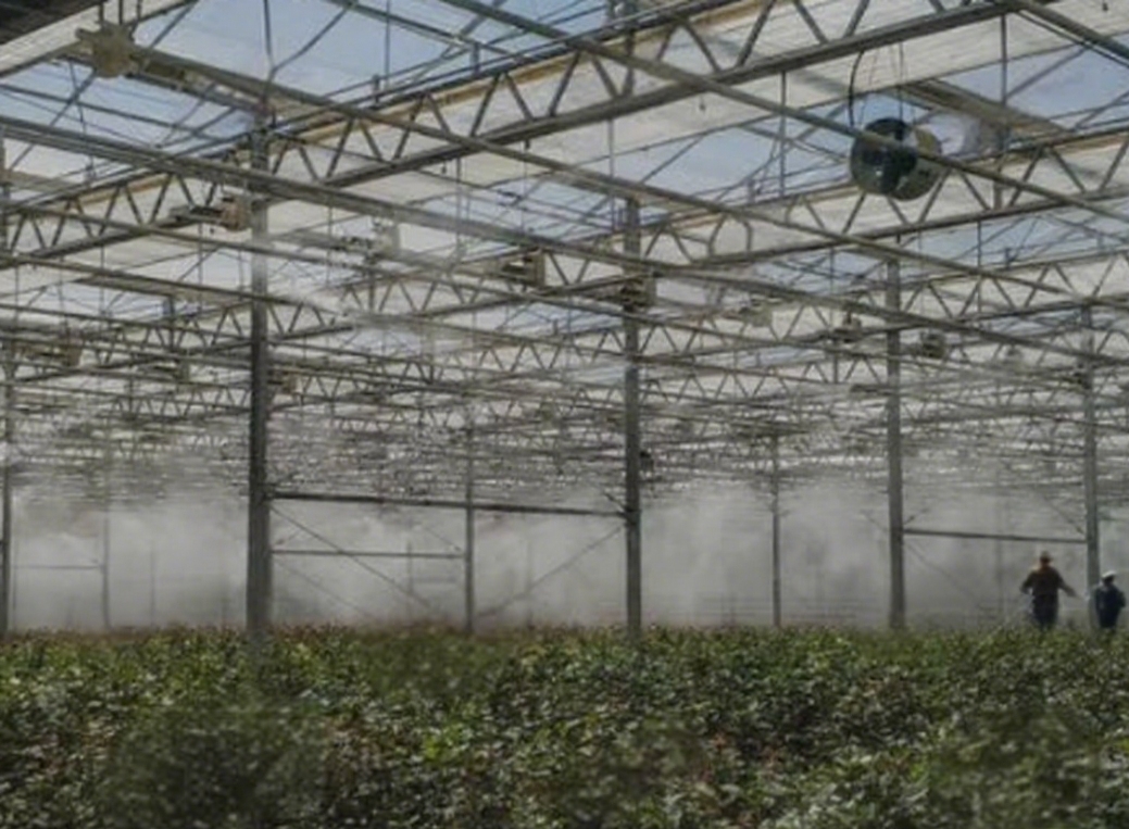 SmartGreenhouse