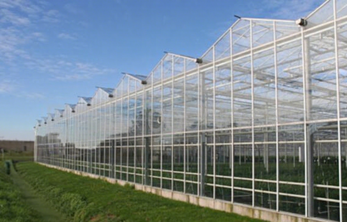 SustainableAgriculture