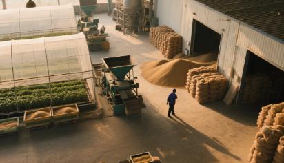 TraditionalFarming