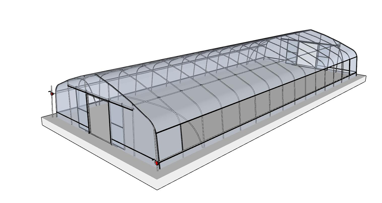 Tunnel-greenhouse-structure--(1)