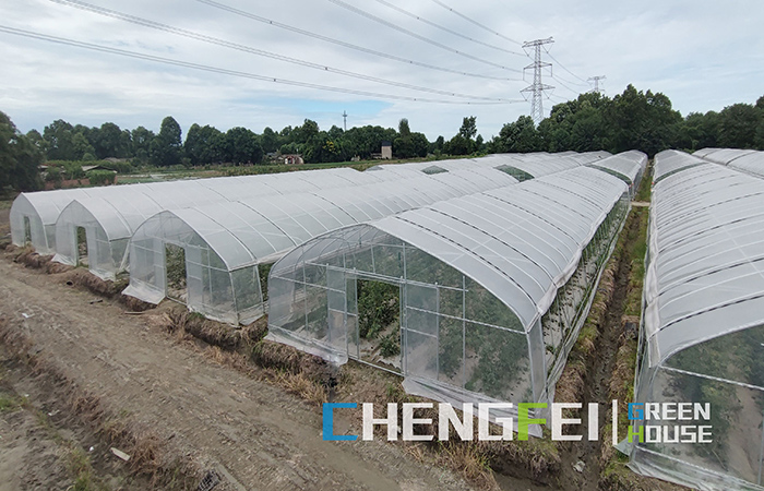 Tunnel-greenhouse
