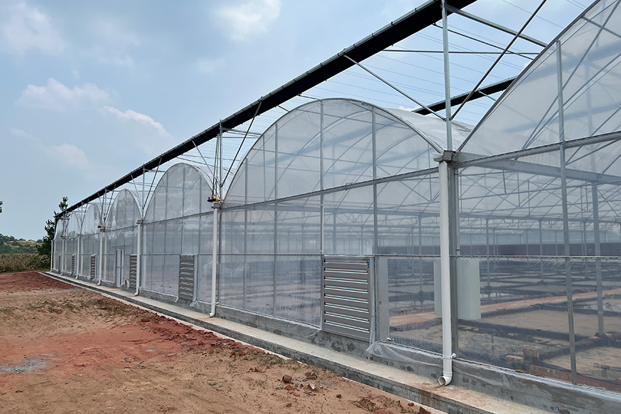 Vegetable & Fruit Greenhouse