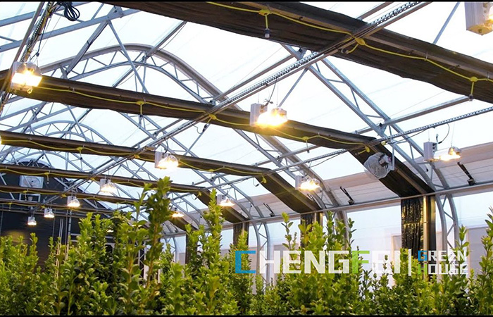 blackout-greenhouse-for-planting-hemp-(2)