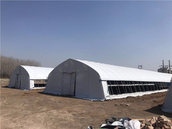 Blackout greenhouse project in Ningxia, China