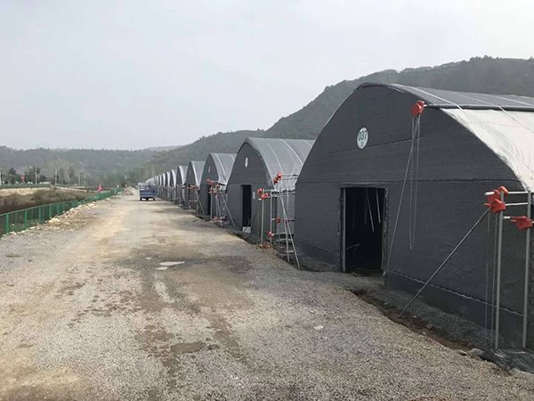 Blackout greenhouse project in Ningxia, China - project view 2