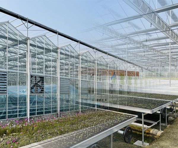 glass greenhouse 4