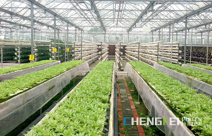 glass-greenhouse-for-hydroponics
