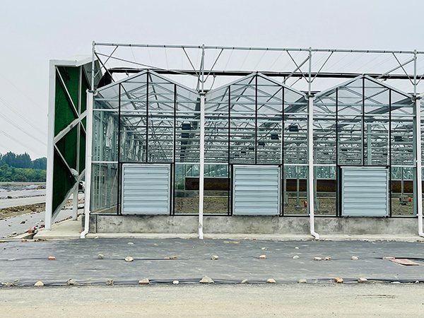 Glass greenhouse project in Canada - project view 3