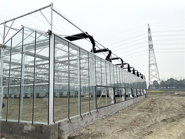 Glass greenhouse project in Canada - project view 4