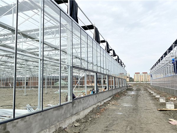 Glass greenhouse project in Canada - project view 5