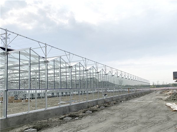 Glass greenhouse project in Canada - project view 6