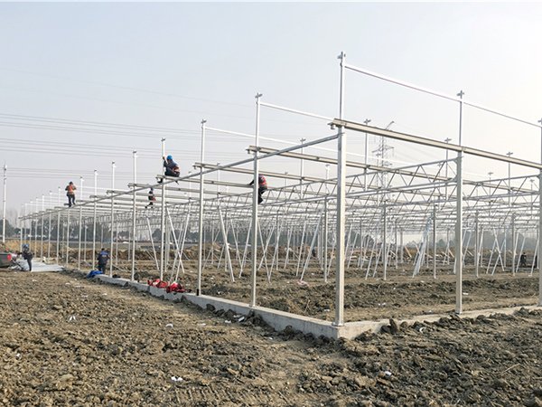 Glass greenhouse project in Canada - project view 7
