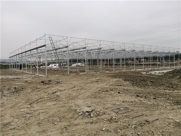 Glass greenhouse project in Canada - project view 8