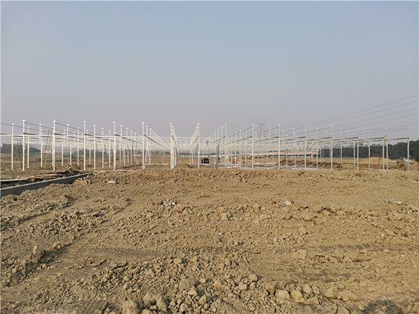 Glass greenhouse project in Canada - project view 9