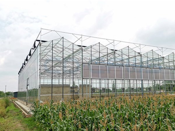 Glass greenhouse project in Chengdu, China - project view 2