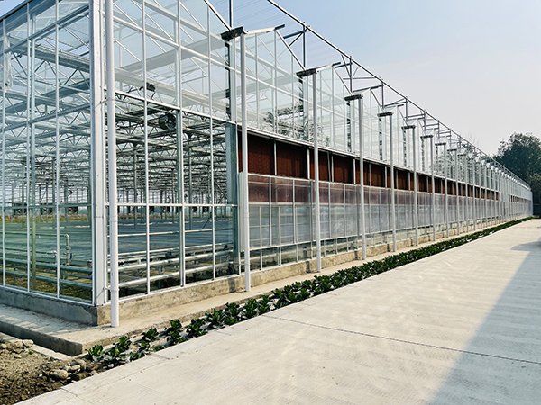 Glass greenhouse project in Chengdu, China - project view 3