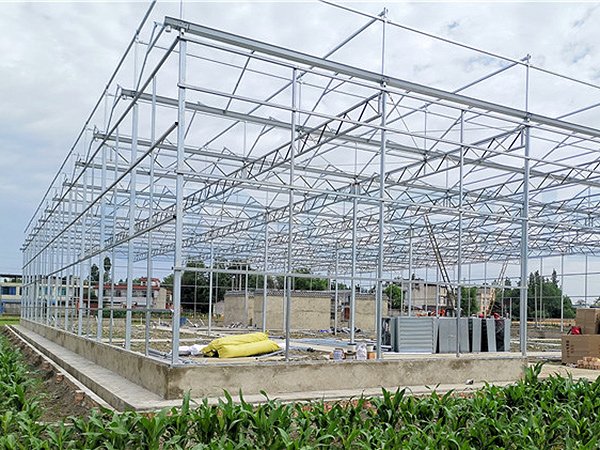 Glass greenhouse project in Chengdu, China - project view 4