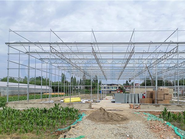 Glass greenhouse project in Chengdu, China - project view 6