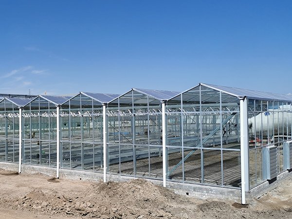 Glass greenhouse project in Gansu, China