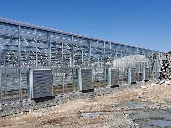 Glass greenhouse project in Gansu, China - project view 4