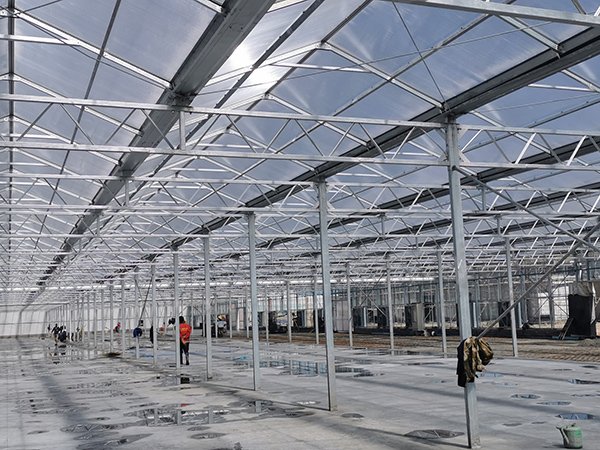 Glass greenhouse project in Gansu, China - project view 10