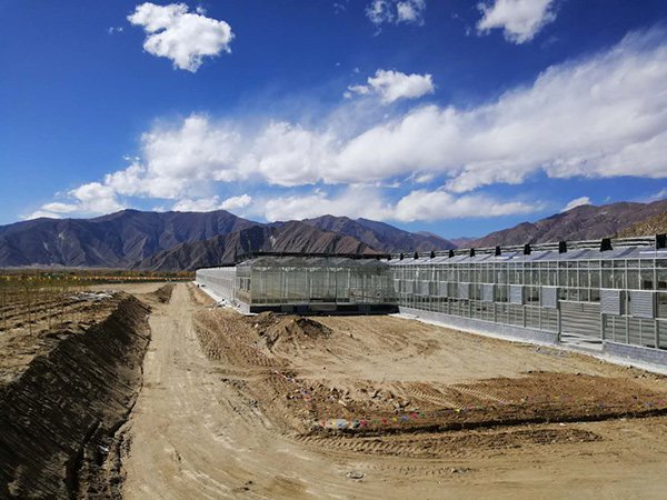 Glass greenhouse project in Italy - project view 2