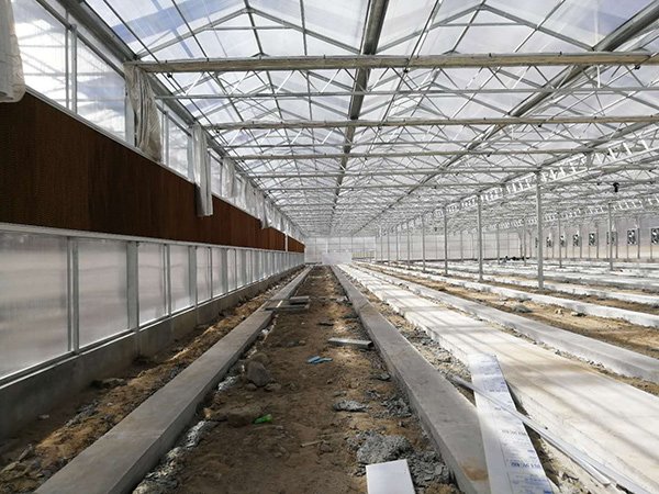 Glass greenhouse project in Italy - project view 3