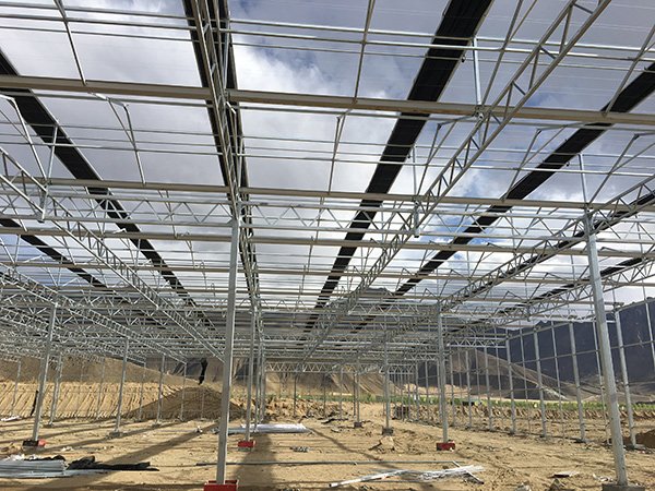 Glass greenhouse project in Italy - project view 6