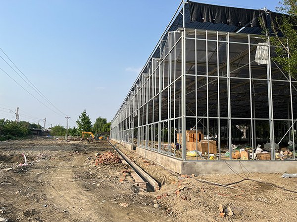Glass greenhouse project in the United States - project view 2
