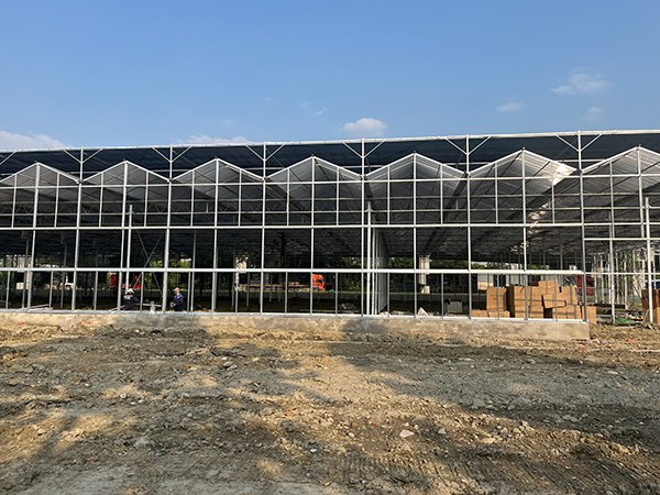 Glass greenhouse project in the United States - project view 3