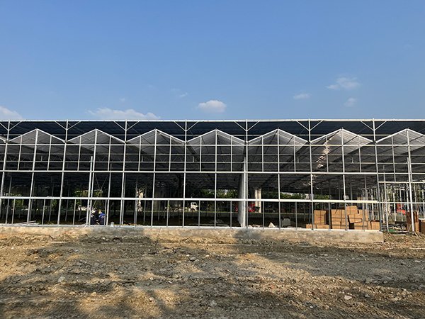 Glass greenhouse project in the United States - project view 4