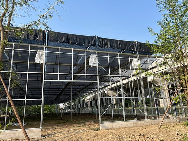 Glass greenhouse project in the United States - project view 5