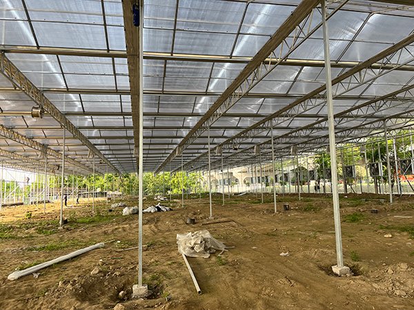 Glass greenhouse project in the United States - project view 6