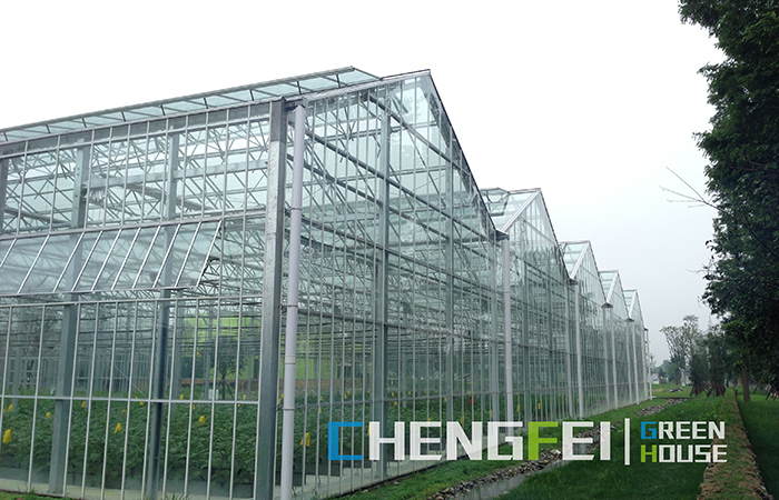 glass-greenhouse