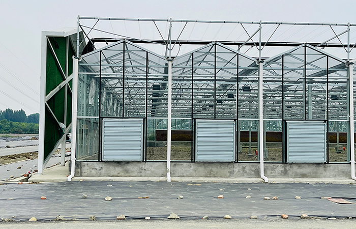 glass-greenhouse2