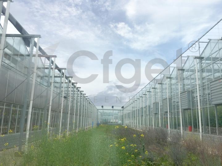 greenhouse design