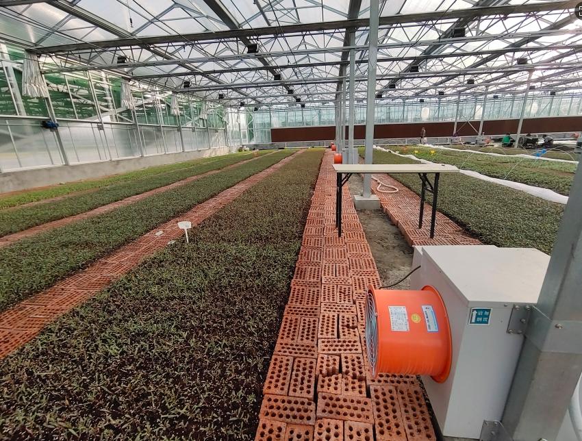 greenhouse design