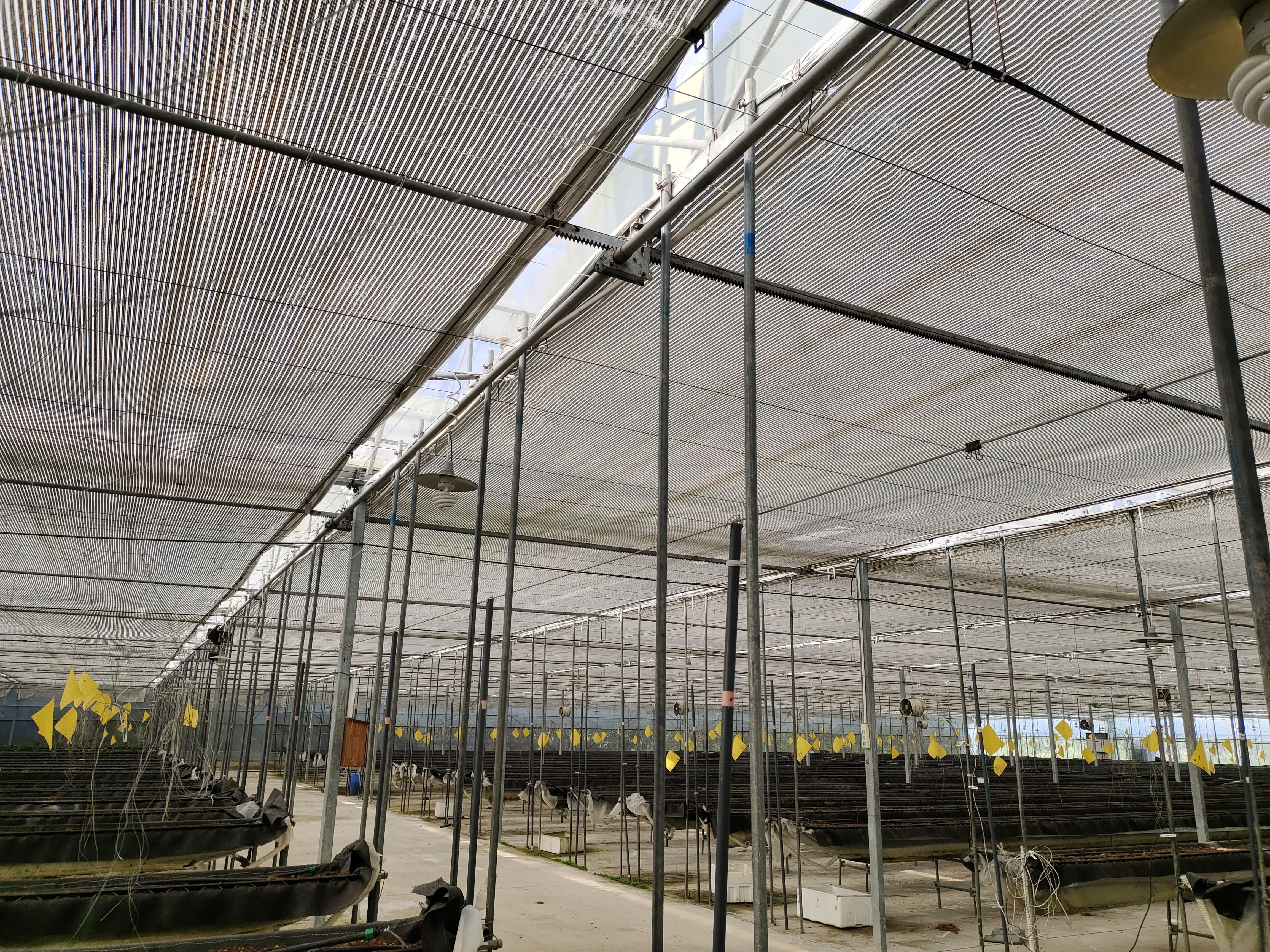 greenhouse