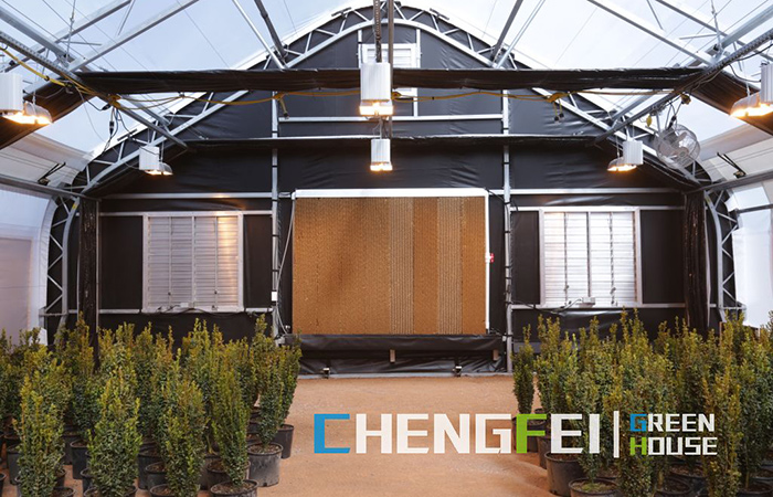 light-deprivation-greenhouse-for-hemp