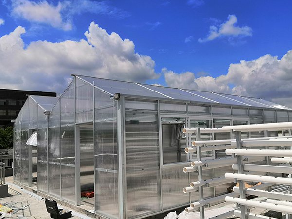 Mini garden PC sheet greenhouse project in Chengdu - project view 2