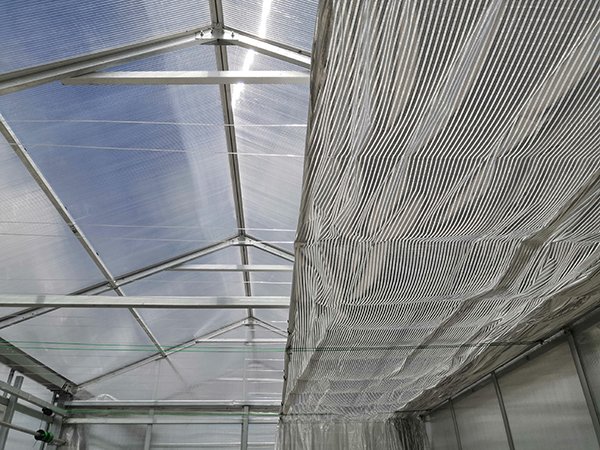Mini garden PC sheet greenhouse project in Chengdu - project view 3