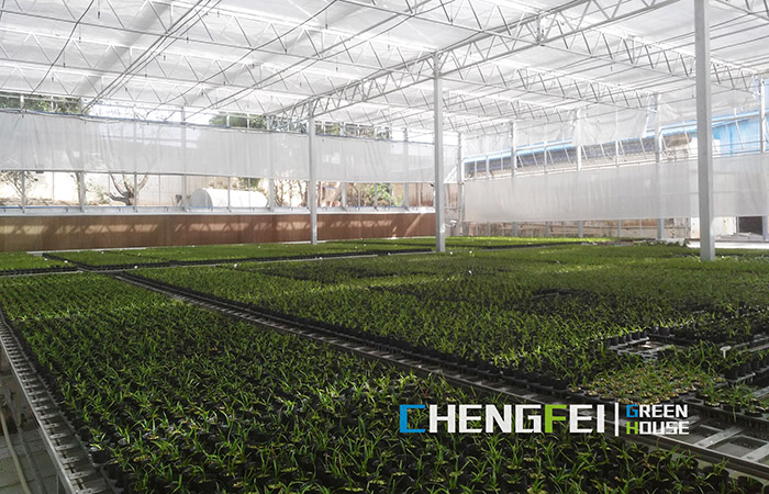 multi-span-plastic-film-greenhouse-for-herbs-(4)