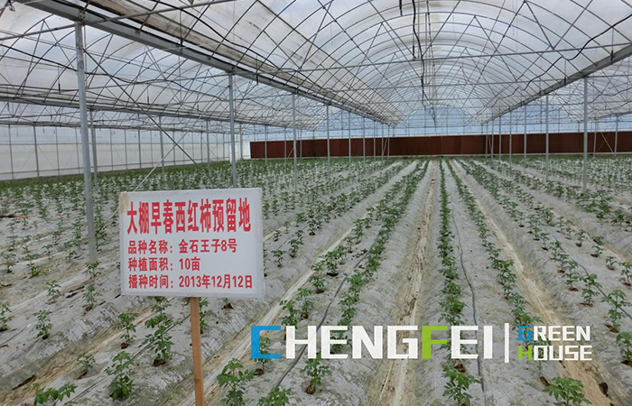 multi-span-plastic-film-greenhouse-for-seedlings