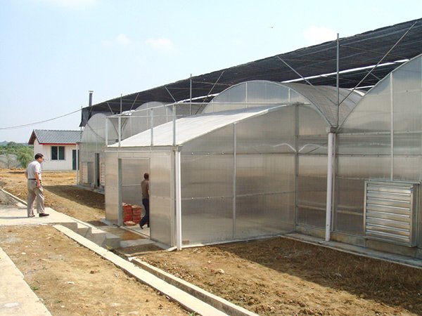 PC sheet greenhouse in Malaysia - project view 2