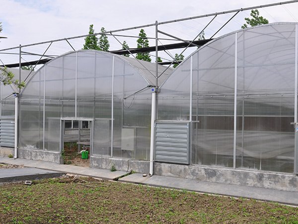 PC sheet greenhouse in Malaysia - project view 3