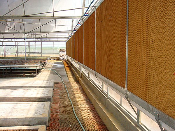 PC sheet greenhouse in Malaysia - project view 6