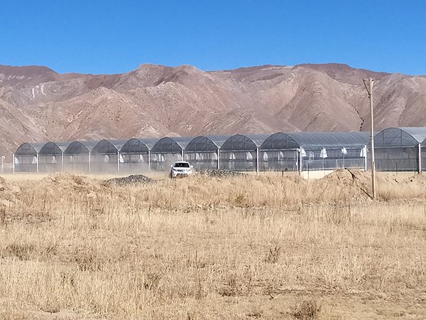 Plastic film greenhouse project 2 in Tibet, China