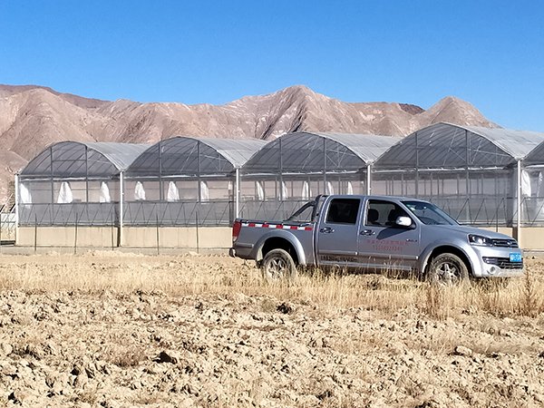 Plastic film greenhouse project 2 in Tibet, China - project view 2