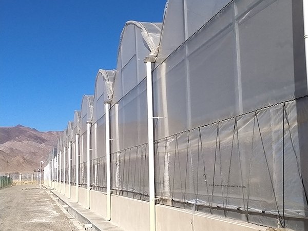 Plastic film greenhouse project 2 in Tibet, China - project view 3
